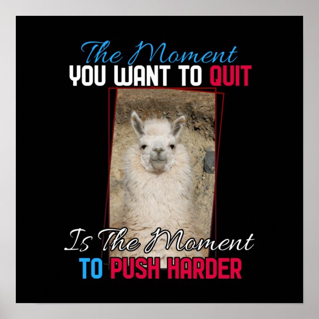 Alpaca Llama - Push Harder Encouragement Poster (Framsidan)