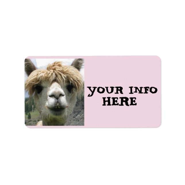 ALPACA LLAMA-RETURETIKETTER ADRESSETIKETT (Framsidan)
