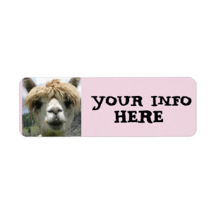 ALPACA LLAMA-RETURETIKETTER RETURADRESS ETIKETT