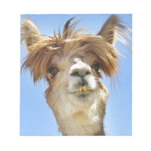 Alpaca med galet hår anteckningsblock