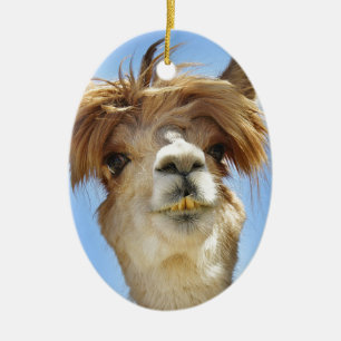 Alpaca med galet hår julgransprydnad keramik