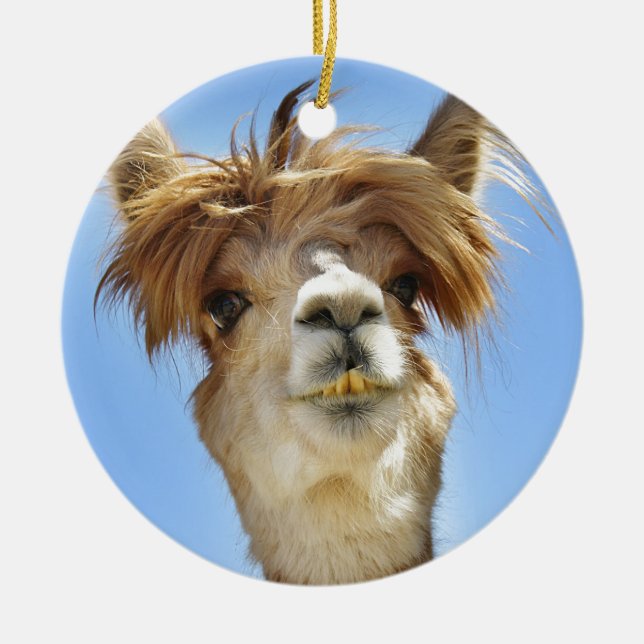 Alpaca med galet hår julgransprydnad keramik (Framsidan)