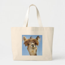 Alpaca med galet hår