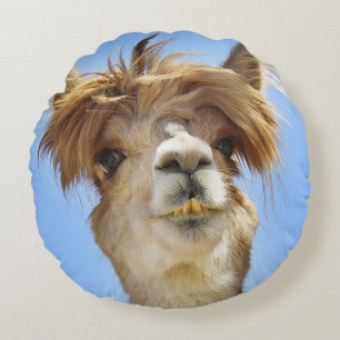 Alpaca med galet hår kudder rund kudde