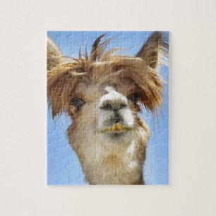Alpaca med galet hår pussel
