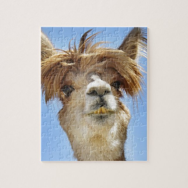 Alpaca med galet hår pussel (Vertikal)