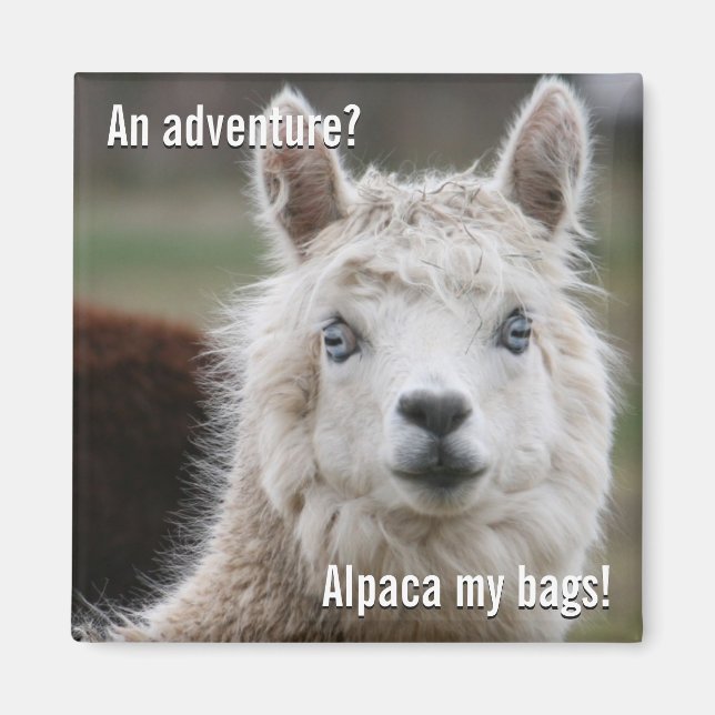 Alpaca Mina väskor för Äventyr Magnet (Framsidan)
