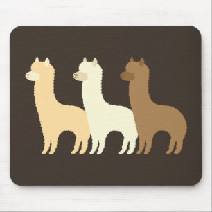 Alpaca Musmatta