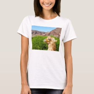 Alpaca nära Salta, Argentina Tee