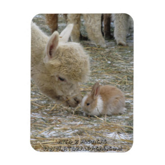 Alpaca och Bunny Kisses! Magnet