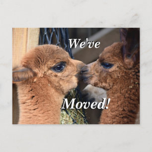 Alpaca par Vi har flyttat Ny adress Meddelande Vykort