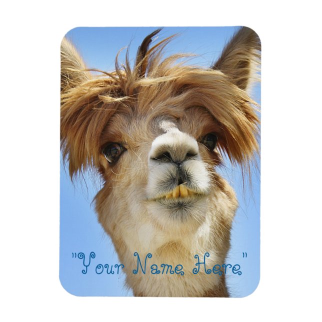 Alpaca Photo Magnet "Put own namn" (Vertikal)
