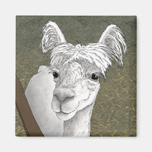 Alpaca Porträtt 2 Magnet