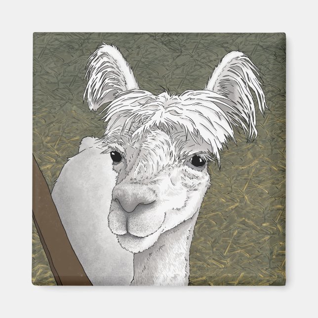Alpaca Porträtt 2 Magnet (Framsidan)