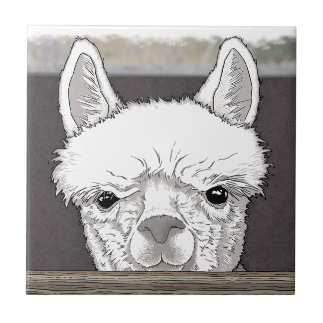 Alpaca Porträtt Kakelplatta (Framsidan)