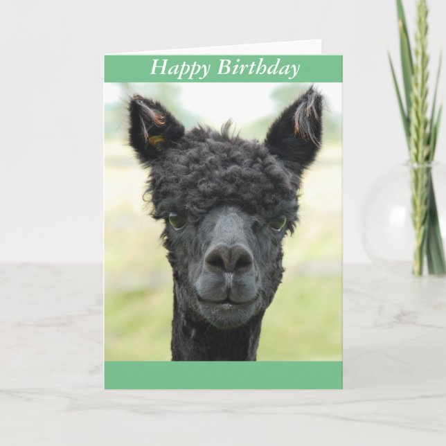 Alpaca Porträtt Kort (Framsida)
