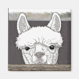 Alpaca Porträtt Magnet