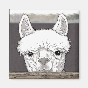 Alpaca Porträtt Magnet