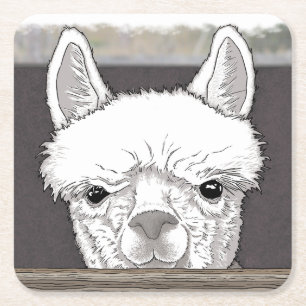 Alpaca Porträtt Underlägg Papper Kvadrat