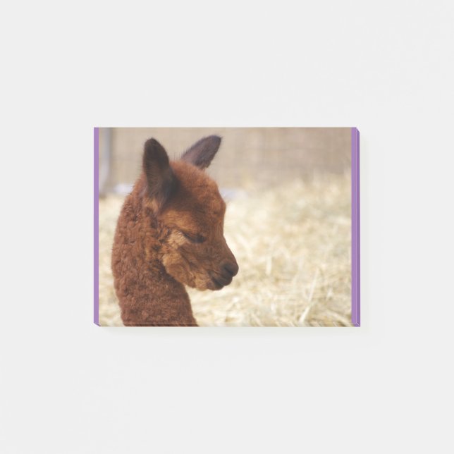 Alpaca Postar-it® noterar Post-it Block (Framsida)