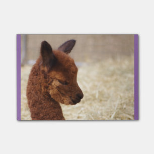 Alpaca Postar-it® noterar Post-it Block