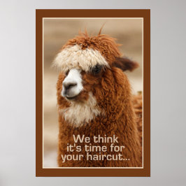 Alpaca poster