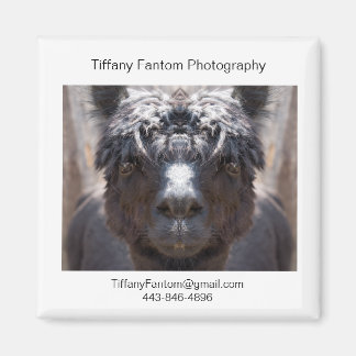 Alpaca Promo Biet Magnet