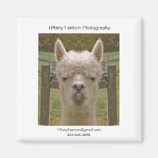 Alpaca Promo Biet Magnet