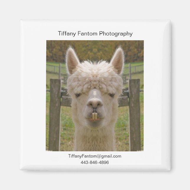 Alpaca Promo Biet Magnet (Framsidan)