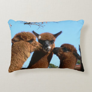 Alpaca Prydnadskudde