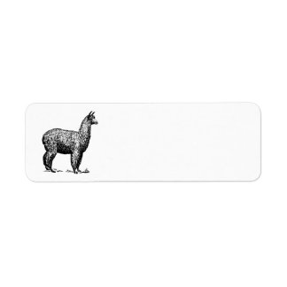 Alpaca Returadress Etikett