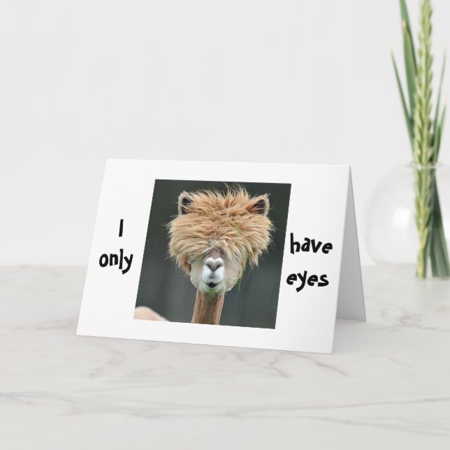ALPACA SÄGER: "JAG HAR BARA ÖGA FÖR DIG" HELGKORT (Framsida)