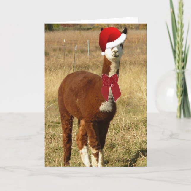 Alpaca Santa Helgkort (Framsida)