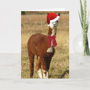 Alpaca Santa Helgkort