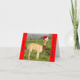 Alpaca Santa Helgkort