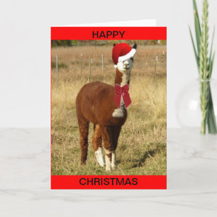 Alpaca Santa Helgkort