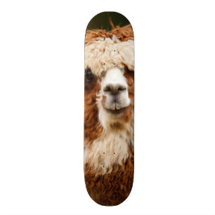 Alpaca Skateboard Bräda 20,5 Cm