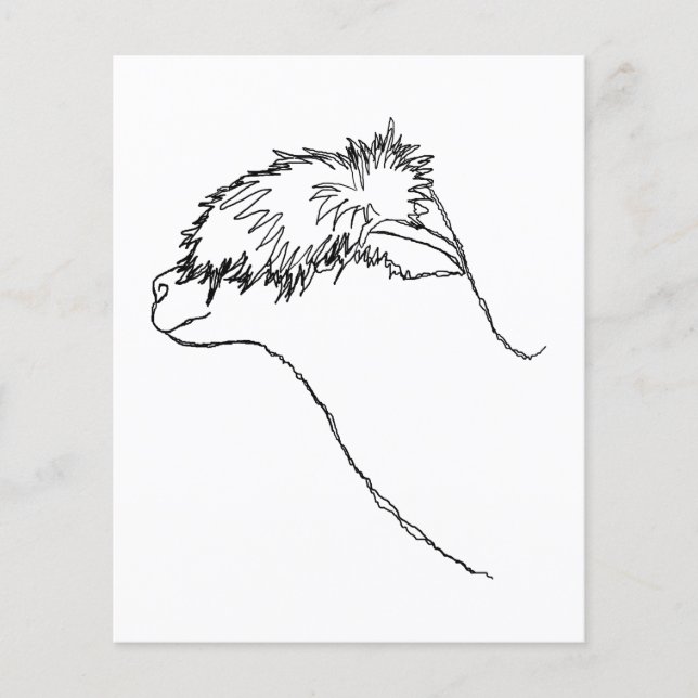 Alpaca Sketch. Flygblad (Framsidan)