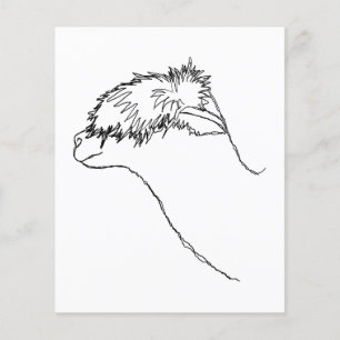 Alpaca Sketch. Flygblad