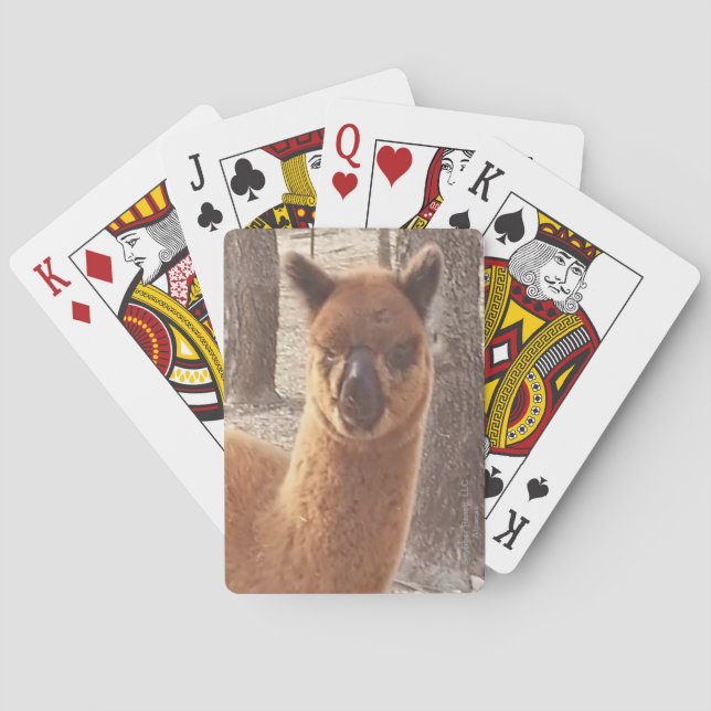 Alpaca som leker kort spel kort (Baksidan)