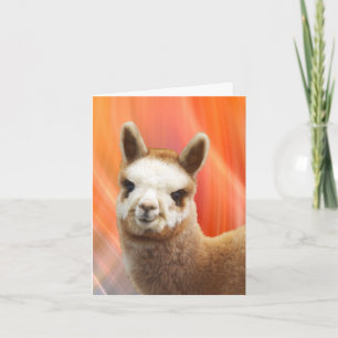 Alpaca som ler Födelsedagskort Kort