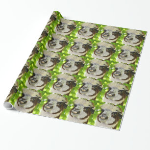 Alpaca som slår in papper presentpapper