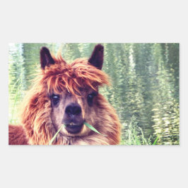 Alpaca Stickers Rektangulärt Klistermärke