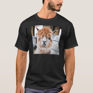 Alpaca Tee Shirt