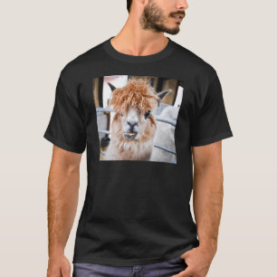 Alpaca Tröja