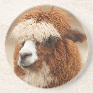 Alpaca underlägg
