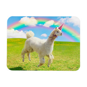 Alpaca Unicorn under Rainbow Himlar Magnet