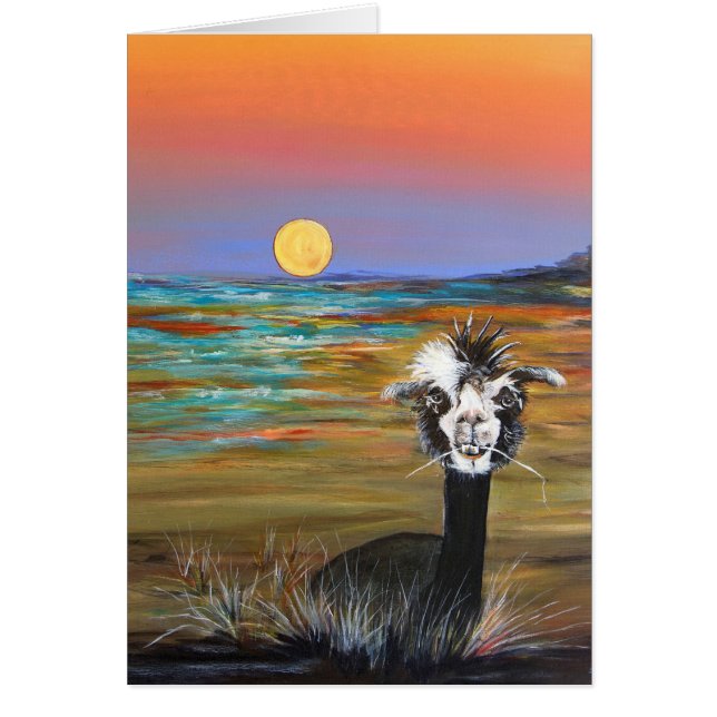 Alpaca - Vincent med artikelkort Hälsningskort (Framsidan)