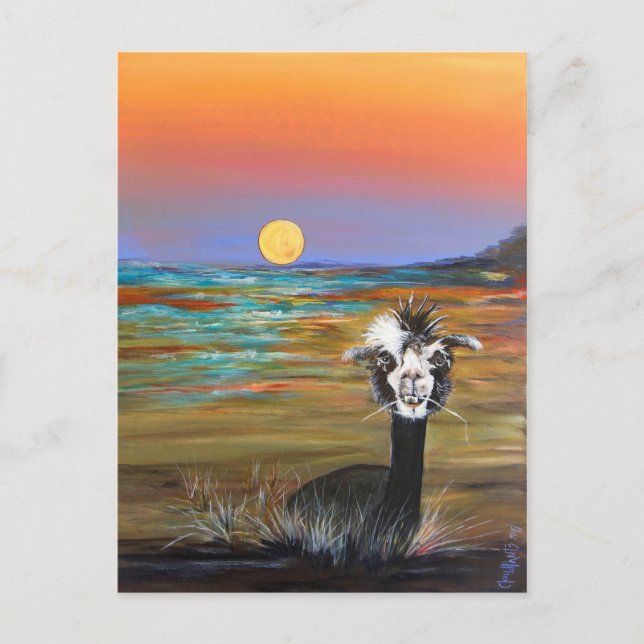 Alpaca - Vincent-vykort Vykort (Framsida)