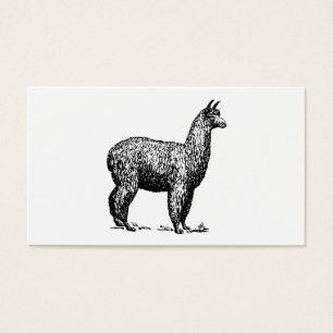 Alpaca Visitkort